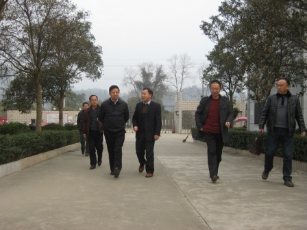 ������ʱ- �ٷ���վ